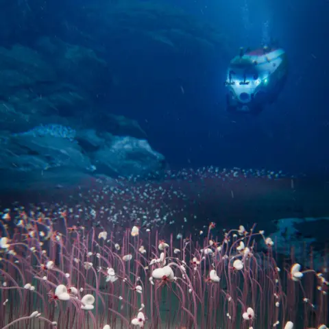 IDSSE/CAS An artist's impression of a submersible vehicle exploring a deep ocean trench filled with reddish tube-worms that are emerging from the ocean floor.