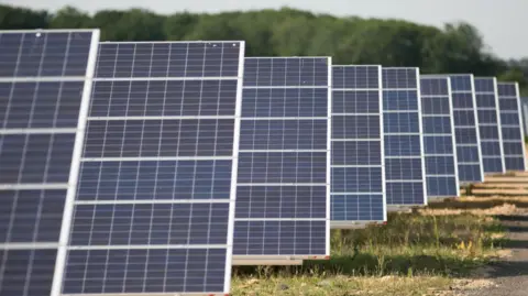 PA Media Rows of solar panels in a field. The panels are black and  grey. There are trees in the background of the image.